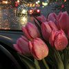 nawara_98_0