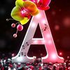 md.alhadi.islam01
