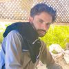hosho_noohani0