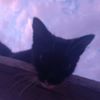 luis_soliman