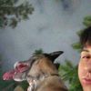 gabriel.rz47