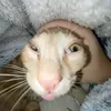 itzquinhere