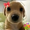 estefy234104