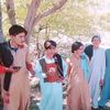 merab.afghan.sher