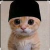 my.name.zidan