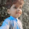 muzamilabid446