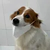 lttgiang_20
