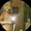 kobre_0.55