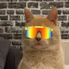 mc.cat.original