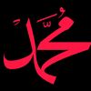 mohamadaminchelal