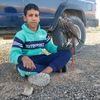 a_pdala