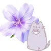 chto_pisat838