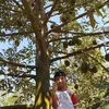 aigachoibobodau