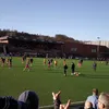 charlie_ld1