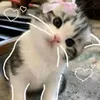 marlybe.victoria