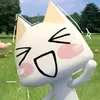 0xxcatxx