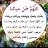 humedsalih8