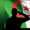 جزائري و أفتخر