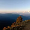 gurung190