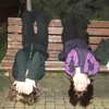 rayvdisvc