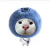 huongwly82