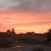 anasaub4