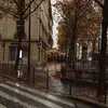 ali_15598