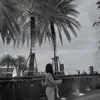 thuanhdepgai01
