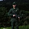 hong.ph6957