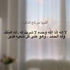 lam.12865