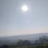 _mimi_7_7_