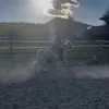 emiluixx48