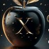 fnxer.ex