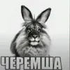 user6149760881949