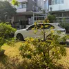 bmw520i85
