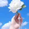 sdfgh8496