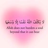 joodjaradat0