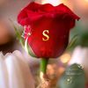 soumiasaadi16