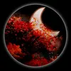 sozanrashed5