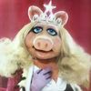 misspiggyapologist