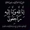 shehab.nasef7