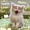 lovekitten46