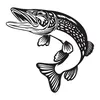 osku_fisuttaa