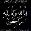 رائد النجفي