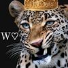 wissammadjoudj56