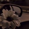 ana_rmrzz