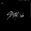 fandestraykids212