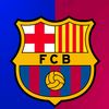 fcb_736