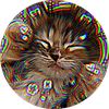 kitty_cat_v1