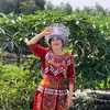 c.th.minh82
